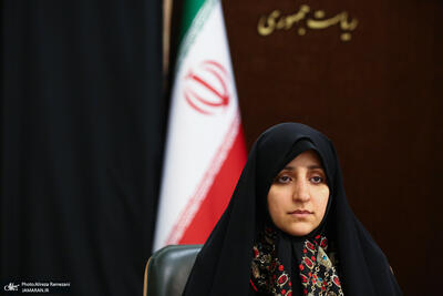 بهروزآذر، معاون رییس‌جمهور: لایحه حمایت از زنان به دلیل تغییرات ماهوی در مجلس مسترد می‌شود
