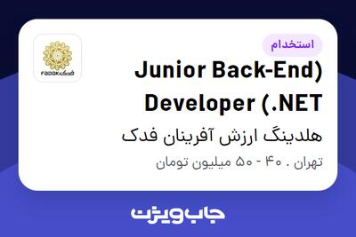 استخدام (Junior Back-End Developer (.NET در هلدینگ ارزش آفرینان فدک