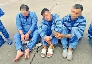 دزدی برای دیدار یک خواننده در زندان/ دستگیری سارق 73 ساله  وپسر جوانی که برای دیدن تتلو دست به سرقت زد!