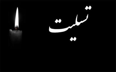 مدیرعامل شرکت سبدگردان داریک به سوگ مادر نشست