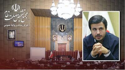 دهنوی: 5 مورد از ایرادات پالرمو در مجمع تشخیص مصلحت نظام بررسی شد | خبرگزاری بین المللی شفقنا