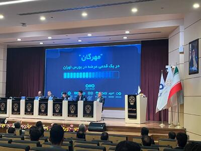 گروه مالی مهرگان در یک قدمی ورود به بورس