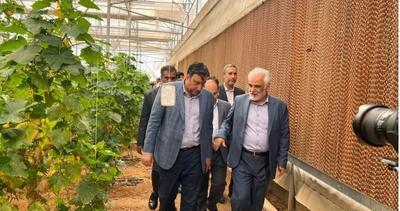 افتتاح فاز نخست گلخانه تولید بذر دانشگاه آزاد اسلامی استان اصفهان با حضور طهرانچی