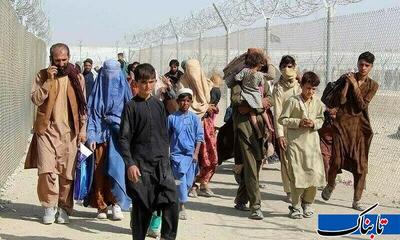 400 هزار نفر تبعه خارجی در استان کرمان