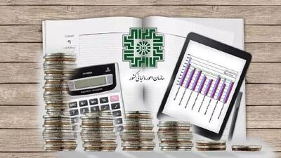 صدور مجوز برای هفدهمین شرکت معتمد ارائه‌کننده خدمات مالیاتی نوع اول