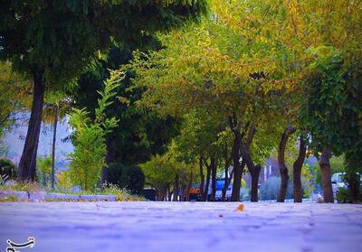 بررسی پیشنهاد نام‌گذاری   روز خرم‌آباد   در شورای فرهنگ عمومی - تسنیم