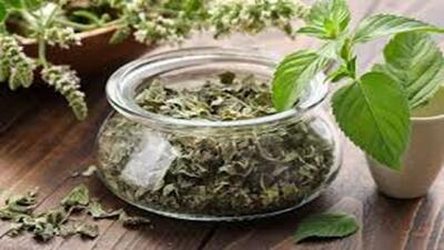 قوی‌ترین ضد استرس! + فیلم