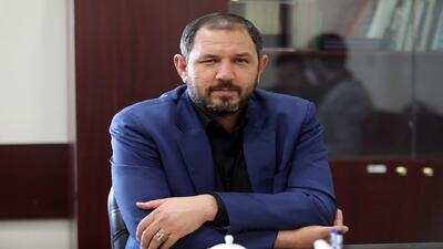 دولت و مجلس حامی شوراها هستند