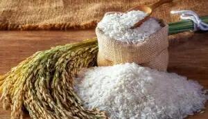 روش شمالی ها برای نگهداری برنج خام