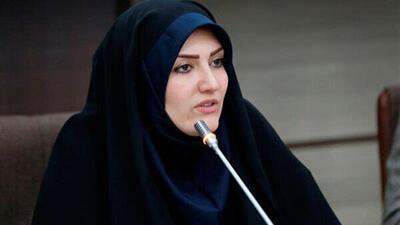 راه‌اندازی ۶ کمیته تخصصی برای تقویت فعالیت سمن‌ها در قزوین