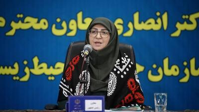 معاون رئیس جمهور: صندوق مقابله با کانون‌های ریزگرد باید در کشورهای منطقه تشکیل شود