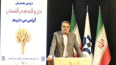 گندم‌کاری در ایران اوج می‌گیرد؛ خرید تضمینی با ۱۲۰۰ مرکز فعال