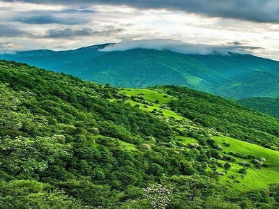 زاگرس در معرض نابودی