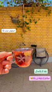 تصاویر نوستالژیک از حیاط خانه پدری ستاره قطبی در اصفهان/ویدیو