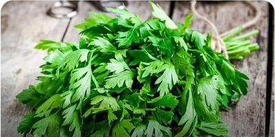خواص این سبزی؛ از زیبایی پوست و لاغری تا بهبود عملکرد جنسی