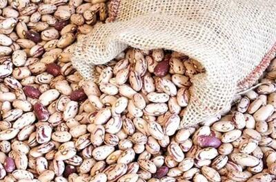 لوبیا چیتی در روزهای اخیر تبدیل به مساله شده است