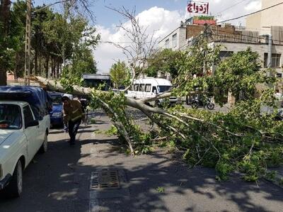 هشدار هواشناسی برای تهران؛ وزش باد شدید و احتمال بارش در ارتفاعات