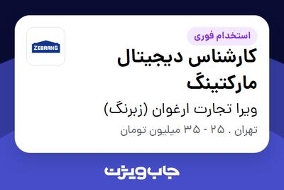 استخدام کارشناس دیجیتال مارکتینگ در ویرا تجارت ارغوان (زبرنگ)