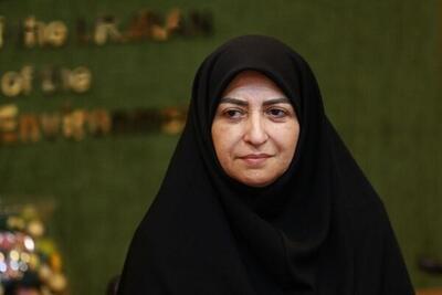 شینا انصاری: صندوق منطقه‌ای برای حل مشکل ریزگردها تشکیل می‌شود
