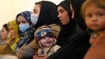 آمار عجیب اتباع افغانستانی ساکن در کرمان