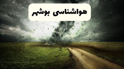 پیش بینی وضعیت آب و هوا بوشهر فردا جمعه ۱۲ اردیبهشت ماه ۱۴۰۴ | هواشناسی بوشهر ۲۴ ساعت آینده + آب و هوای بوشهر