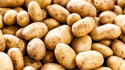 افزایش ۶۰ تا ۱۶۰ درصدی قیمت سیب‌زمینی و حبوبات در دولت چهاردهم