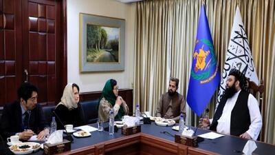 سازمان ملل در بازسازی محل اسکان پناهندگان کمک کند