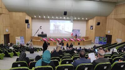 ۲۵ درصد خیرین مدرسه ساز کشور بانوان هستند