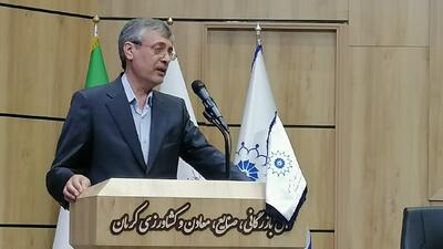 شرکت های معدنی بزرگ باید درکرمان سرمایه گذاری کنند