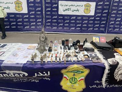 سرقت‌های عجیب و باورنکردنی اژدهای ۷۰ ساله