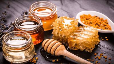 زنبور ملیپونا با ظاهری بسیار عجیب و منبع درآمد میلیاردی + فیلم - آینه فردا