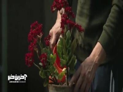 آواز زیبای محمد معتمدی برای فیلم سینمایی «صیاد»