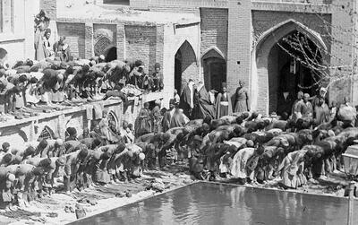 تصاویر| تهران عصر قاجار؛ از باغ فردوس تا مغازه خواربارفروشی