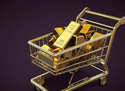 صندوق‌های طلا در بورس صرف توسعه معادن طلا میشود - اکونیوز