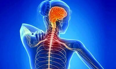 علائم هشداردهنده ام اس و رویکرد طب سنتی برای درمان: از تغییرات غذایی تا آرامش روحی