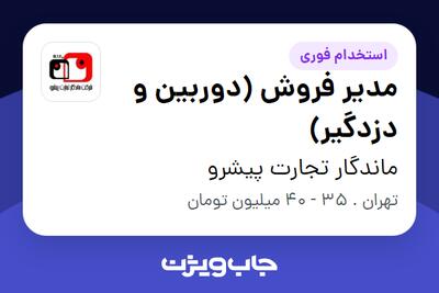 استخدام مدیر فروش (دوربین و دزدگیر) در ماندگار تجارت پیشرو
