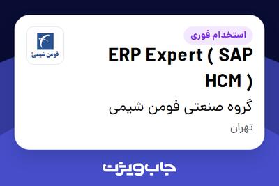 استخدام ERP Expert ( SAP HCM ) در گروه صنعتی فومن شیمی