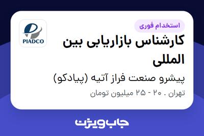 استخدام کارشناس بازاریابی بین المللی در پیشرو صنعت فراز آتیه (پیادکو)