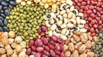 چرا قیمت لوبیاچیتی سر به فلک کشید؟ - مردم سالاری آنلاین