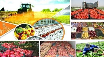 ایمنی مواد غذایی از مزرعه تا سفره