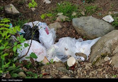 درخواست قضایی برای کم‌کاری مدیران مازندران در فاجعه زباله - تسنیم
