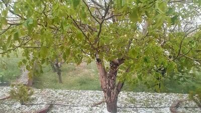 بارش‌های رگباری و تگرگ زنجان را فرا می‌گیرد