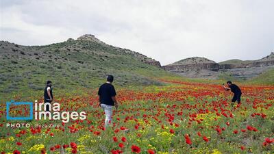 ژئو پارک «دومولی»