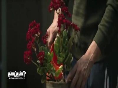 آواز زیبای محمد معتمدی برای فیلم سینمایی صیاد