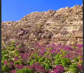 طبیعت شهرستان چگنی در لرستان باشکوه