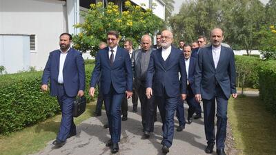 دیدارهای معاون قوه قضایه با مقامات قضایی عراق و تاکید بر مقابله با اقدامات تروریستی