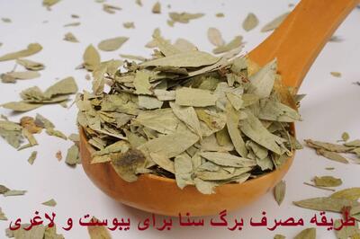 طریقه مصرف برگ سنا برای درمان یبوست و بهترین زمان خوردن آن برای لاغری