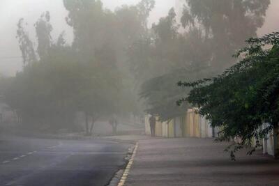 قطع برق مناطقی از استان البرز در پی طوفان