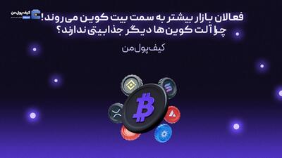 فعالان بازار بیشتر به سمت بیت کوین می‌روند! چرا آلت کوین‌ها دیگر جذابیتی ندارند؟
