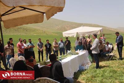 برگزاری تور گردشگری خوراک برای دانشجویان خارجی دانشگاه‌های کرمانشاه